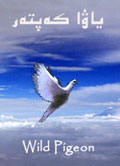 Book Cover for Wild Pigeon by Nurmuhemmet Yasin